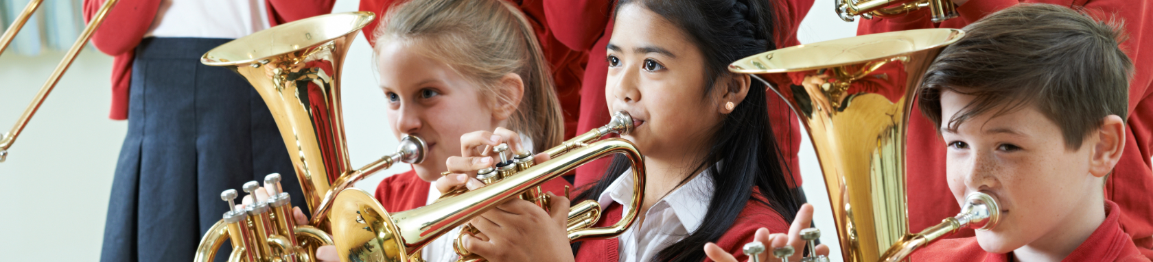 Electives and Specials
